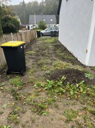 Zaun Auffahrt Beet4jpeg